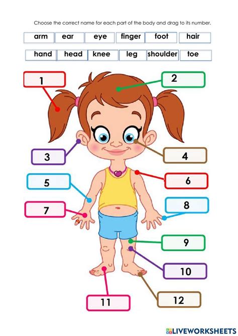 1254926 Parts Of The Body Susyvmm Liveworksheets