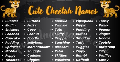 1000+ Cheetah Names: Funny & Popular Choices 2025