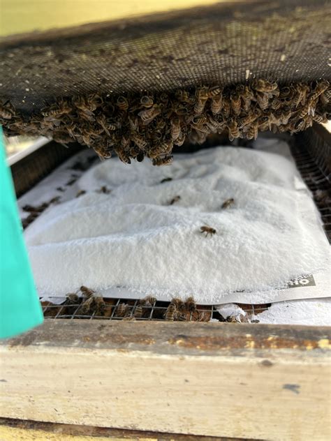 Redding Area Bus Authority (RABA) Routes and Schedules 35