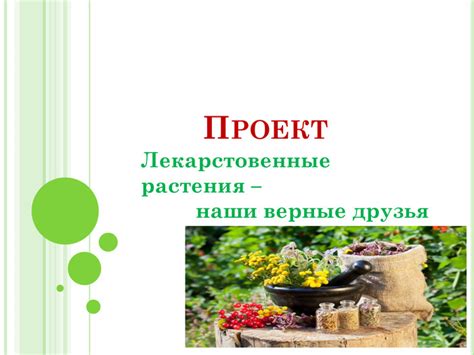 Презентація . Проект "Лекарственные растения- наши верные друзья" для ...