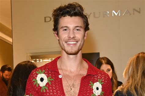 Shawn Mendes Dives Straight Into Snow in Only Shorts