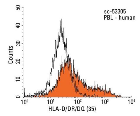 Hla D Dr Dq Antibody Scbt Santa Cruz Biotechnology