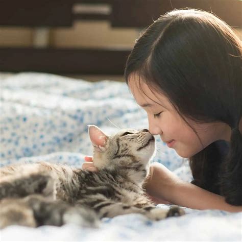 Pet Insurance California | Crusberg Insurance