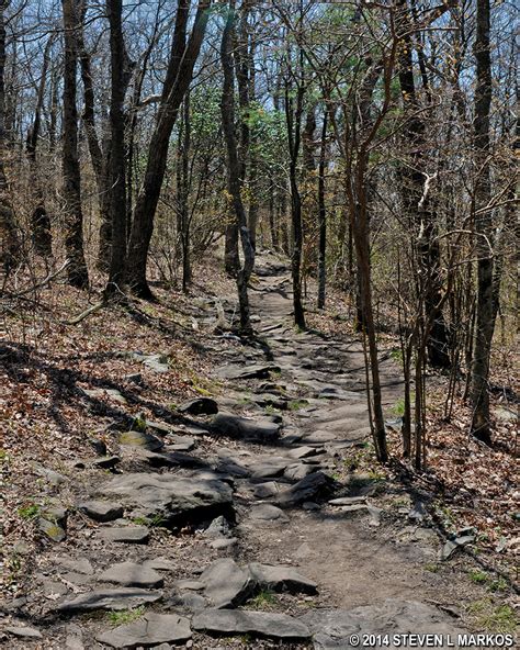 Appalachian National Scenic Trail | SPRINGER MOUNTAIN SUMMIT