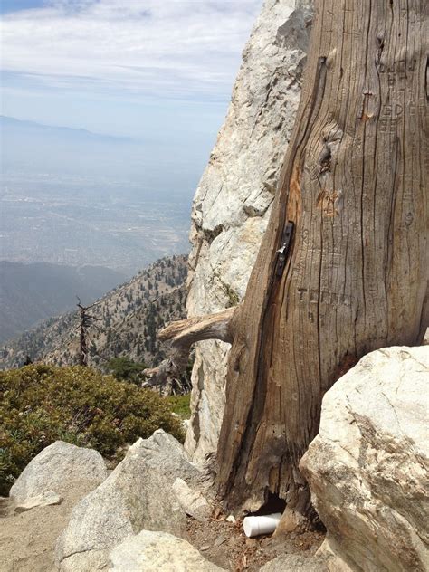 Iron Hiker: Cucamonga Peak, Bighorn Peak, and Ontario Peak