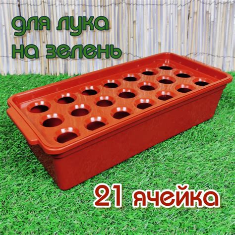 Лоток для выращивания лука на зелень на подоконнике 21 ячейка купить по ...