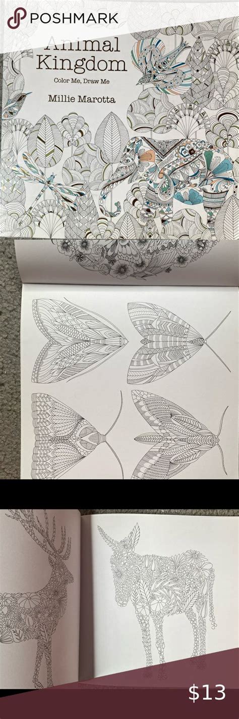 Animal Kingdom Coloring Book Animal Kingdom Colouring Book Coloring