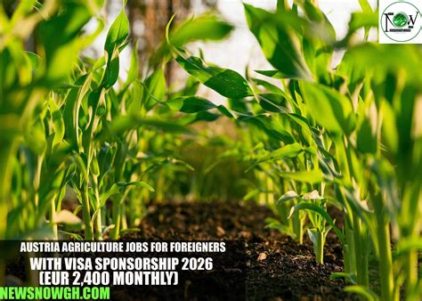 agriculture jobs in salinas 4