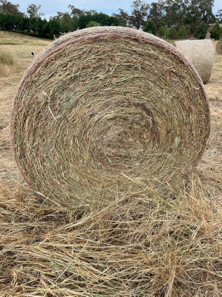 300 X Pasture Clover Hay 5x4 Round Bales Farm Tender
