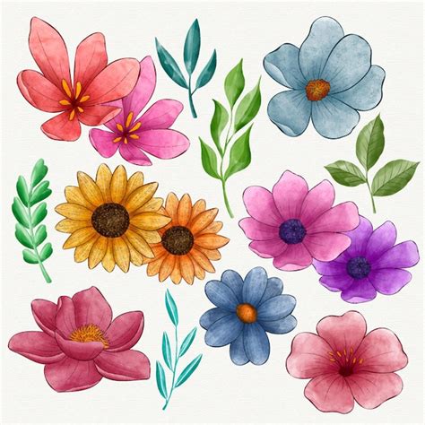 Colecci N De Flores De Acuarela Pintadas A Mano Vector Gratis