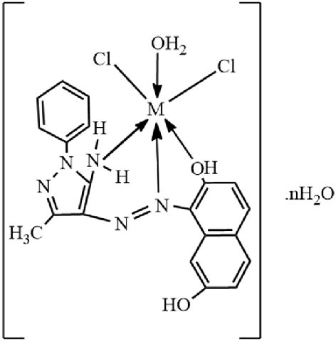 Proposed Structure Of The Cu Ii Co Ii And Fe Ii Complexes With