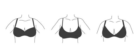 Types Of Bras Collection Lingerie Silhouettes Vector Image