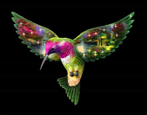 🔥 50 Hummingbird Screensavers And Wallpapers Wallpapersafari