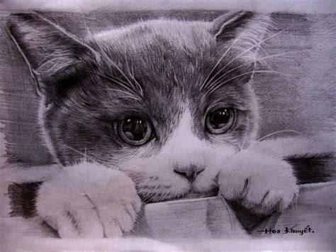 Cat Pencil Art