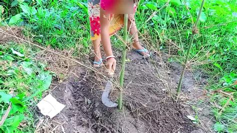 Lokal Bhabhi And Me Outdoor Sex Indian In Hindi Porn Xhamster