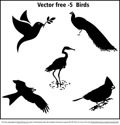 Bird Vector Free at GetDrawings | Free download