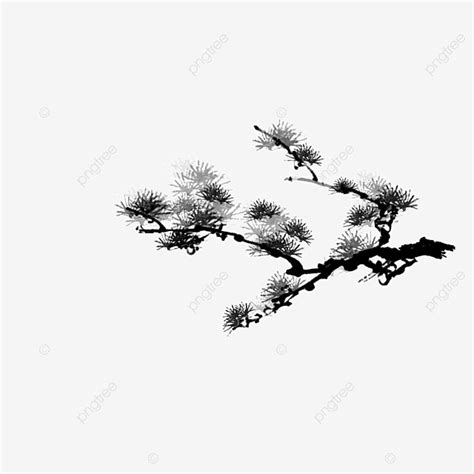 Pine Tree Branch Drawing