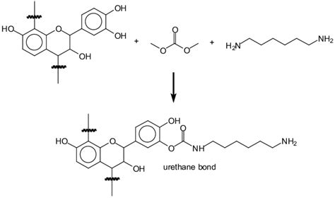 Schematic Representation Of The Reaction Of Preparation Of Tannin Based