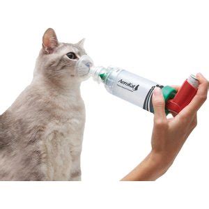 Best Cat First Aid Kits Tools According To Reviews Chewy