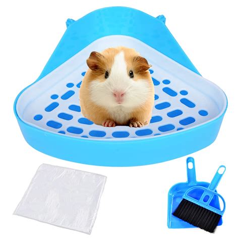 best guinea pig vomiting at home 4