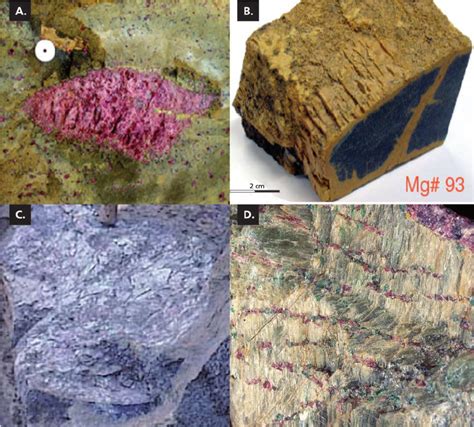 Examples of megacrysts in Otrøy garnet peridotites a Garnet