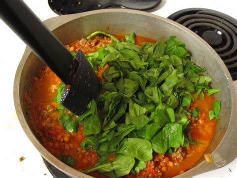 Uber Random Recipe Beef And Lentil Stew
