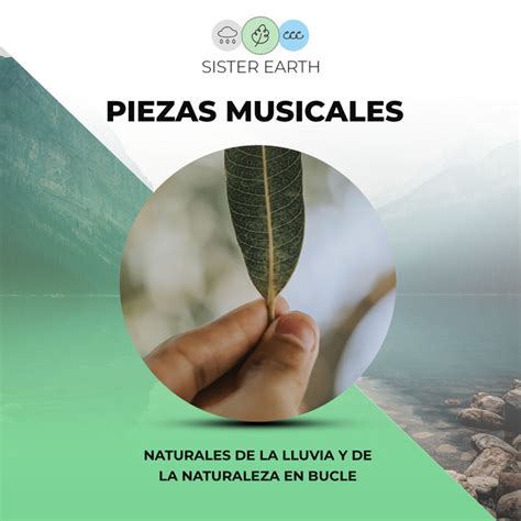 Piezas Musicales Naturales De La Lluvia Y De La Naturaleza En Bucle