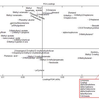 Pca A Scores And B Loadings Plots Of Based On Average Significant