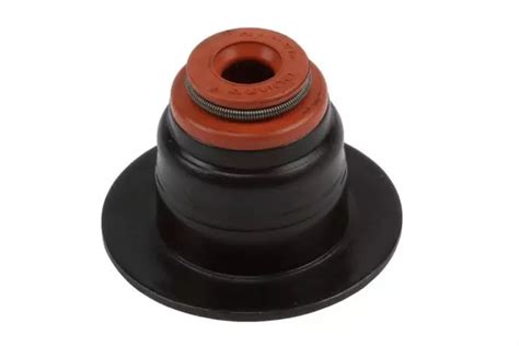 2002 2006 Gm Valve Stem Oil Seal 12596994 Findlay Auto Parts