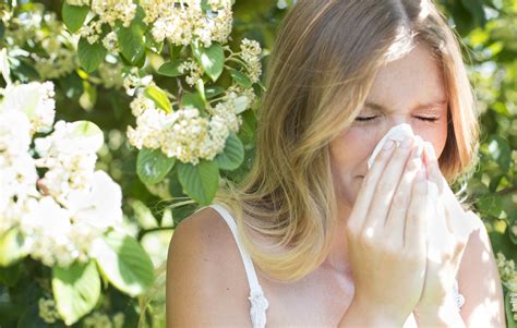 Hay fever symptoms and causes: do you know the signs?