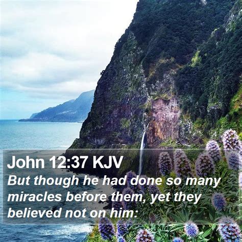 John 12 37 Kjv Bible Verse Images