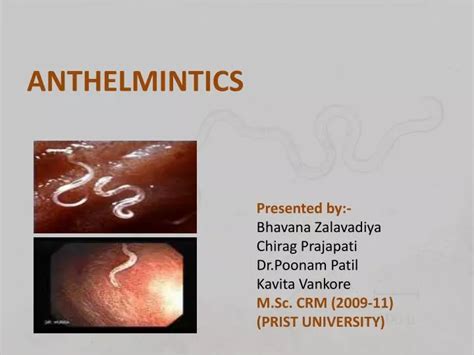 anthelmintics powerpoint    id