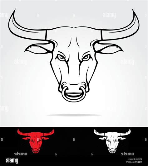 Dangerous Bulls Stock Vector Images Alamy