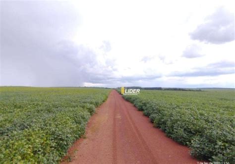 Ch Caras Na Zona Rural Em Campo Verde Chaves Na M O