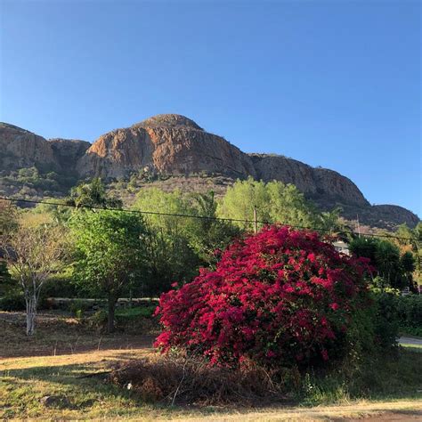 Kosmos Lodge Updated 2024 Prices And Bandb Reviews Hartbeespoort South