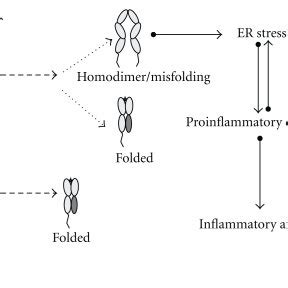 HLA-B27 structure. (a) Ribbon structure of HLA-B27 heavy chain in ...