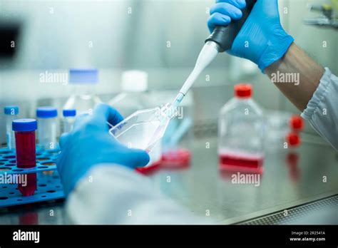 cell culture media Stock Photo - Alamy