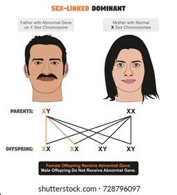 Mother Son Daughter Having Sex Royalty Free Images Stock Photos Pictures Shutterstock