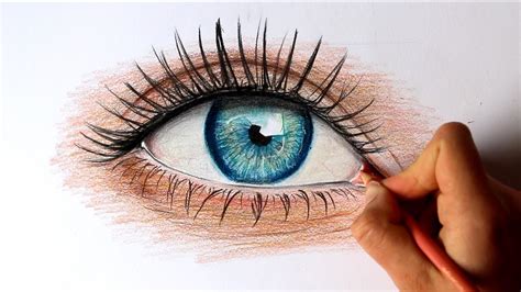 Timelapse Drawing An Realistic Eye With Colored Pencils David Min