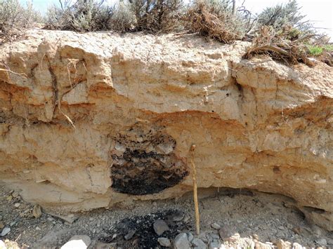 Petroglyphs — The Pryor Mountains