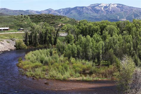 Recent Obituaries and Notices from Steamboat Pilot and Today 2