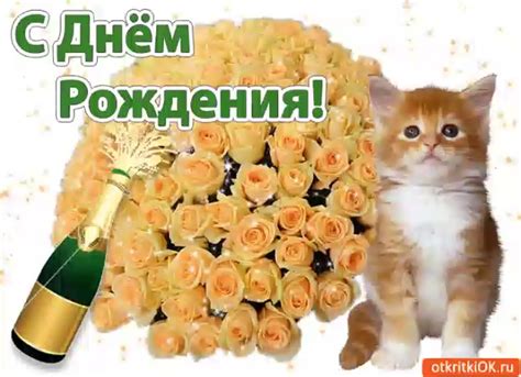 Поздравления Из Одноклассников подборка фото, огромная подборка фото