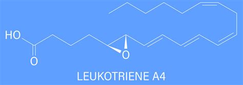 Leukotriene A Lta Molecule Skeletal Formula Vector Image