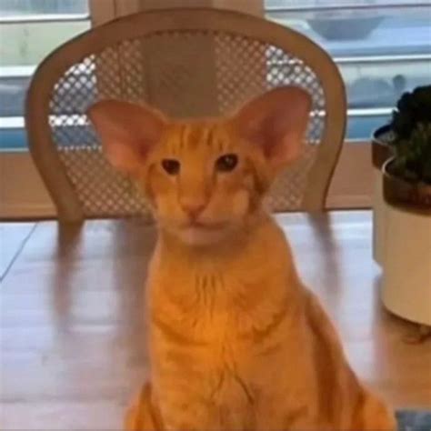 Stream Cocks In My Ass Pt 3 By Lilw4nker445 Listen Online For Free On SoundCloud