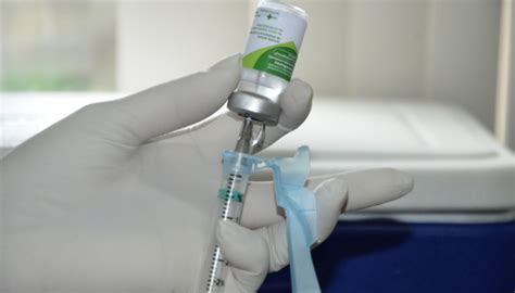 Quem Tem Alergia A Ovo Pode Tomar Vacina Da Gripe - Saúde orienta sobre vacinação contra Influenza e Febre Amarela em ...