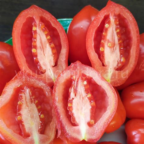 Купить семена томата сорт Сан Марцано (San Marzano)