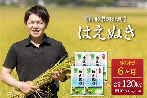 ※2023年3月下旬スタート※はえぬき 120kg（20kg×6ヶ月）定期便【令和4年産】一等米 山形県河北町産 【jaさがえ西村山】｜ふるラボ