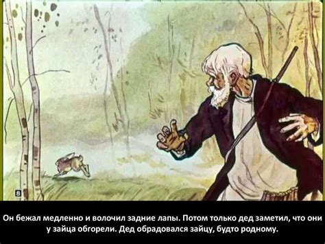 Рассказ "Заячьи лапы" К. Паустовского - презентация онлайн