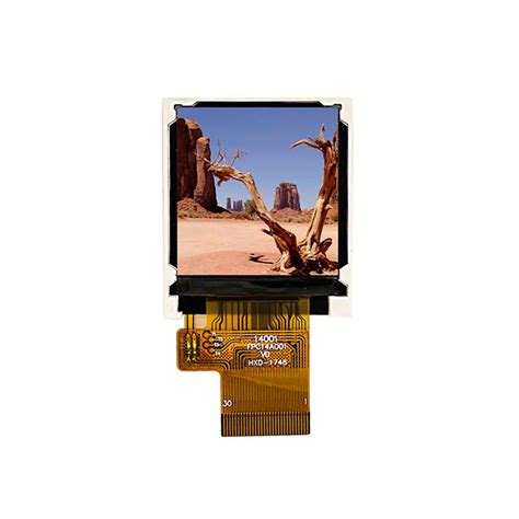 E Rb Fw R Focus Lcds