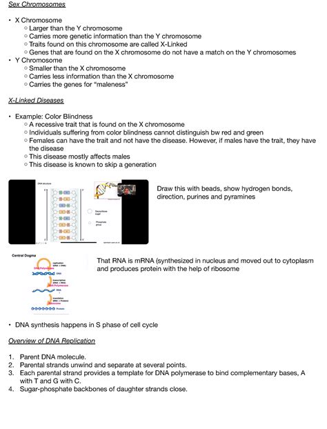 Ex Recitation Practice Problems Sex Chromosomes X Chromosome